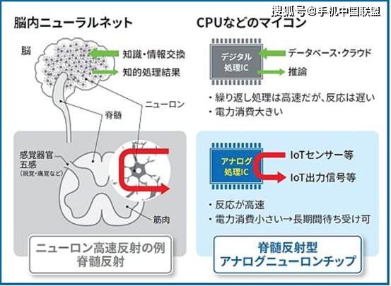 182d7d61be964a8fa738f62b900b80d9.png