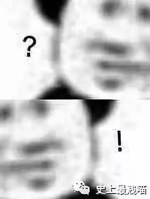 265ef3d1d94348608ffe9b43f2878052.jpeg