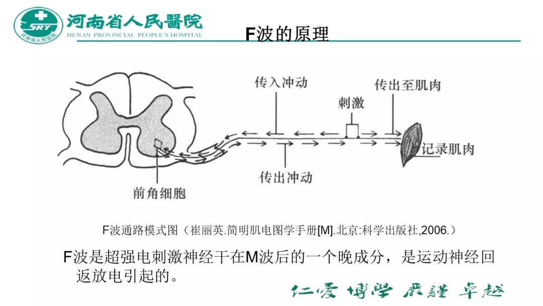 超短波脉冲治疗是什么原理_超短波治疗图片(3)