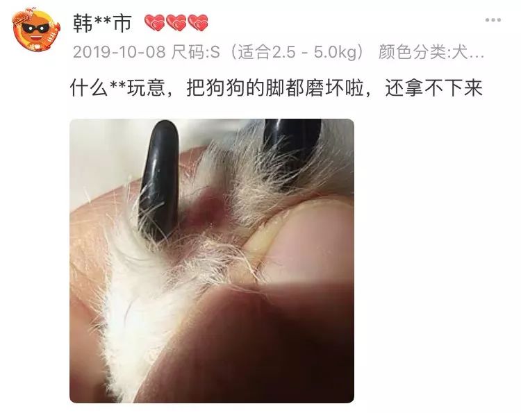 狗狗戴美甲很可愛？你笑得開心，卻不知道狗有多災… 寵物 第7張