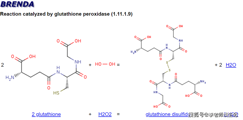 谷胱甘肽过氧化物酶清除过氧化氢的反应