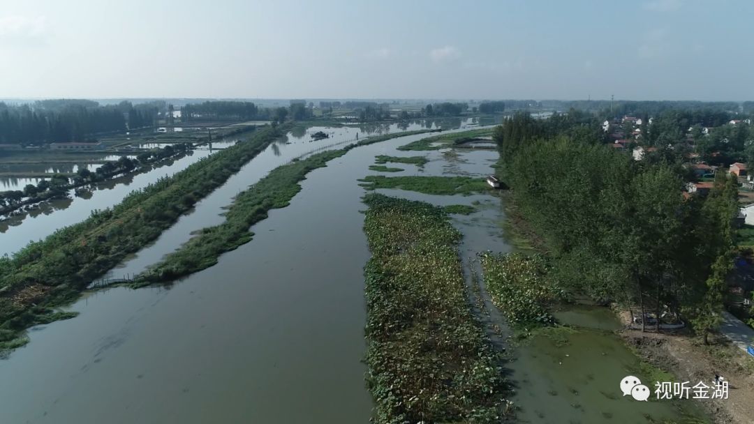 金湖打造河畅,水清,岸绿,景美的生态"洪水走廊!