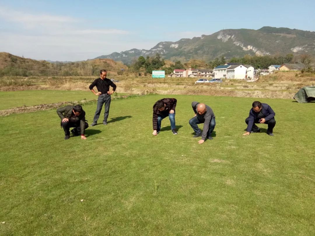 黄平人口面积_黄平苗族服饰(2)