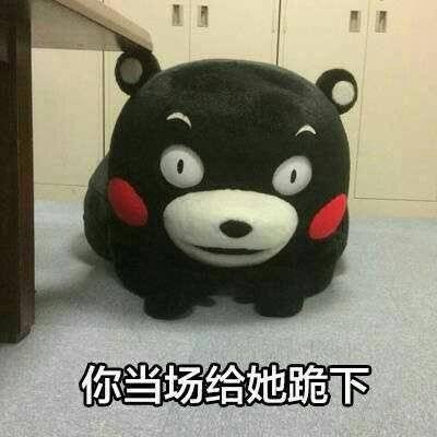 你当场给她跪下