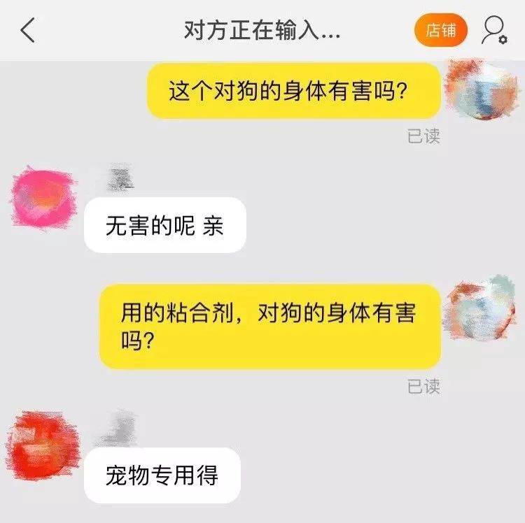 狗狗戴美甲很可愛？你笑得開心，卻不知道狗有多災… 寵物 第6張