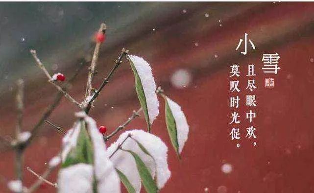 小雪| 花雪随风不厌看,一片飞来一片寒_节气