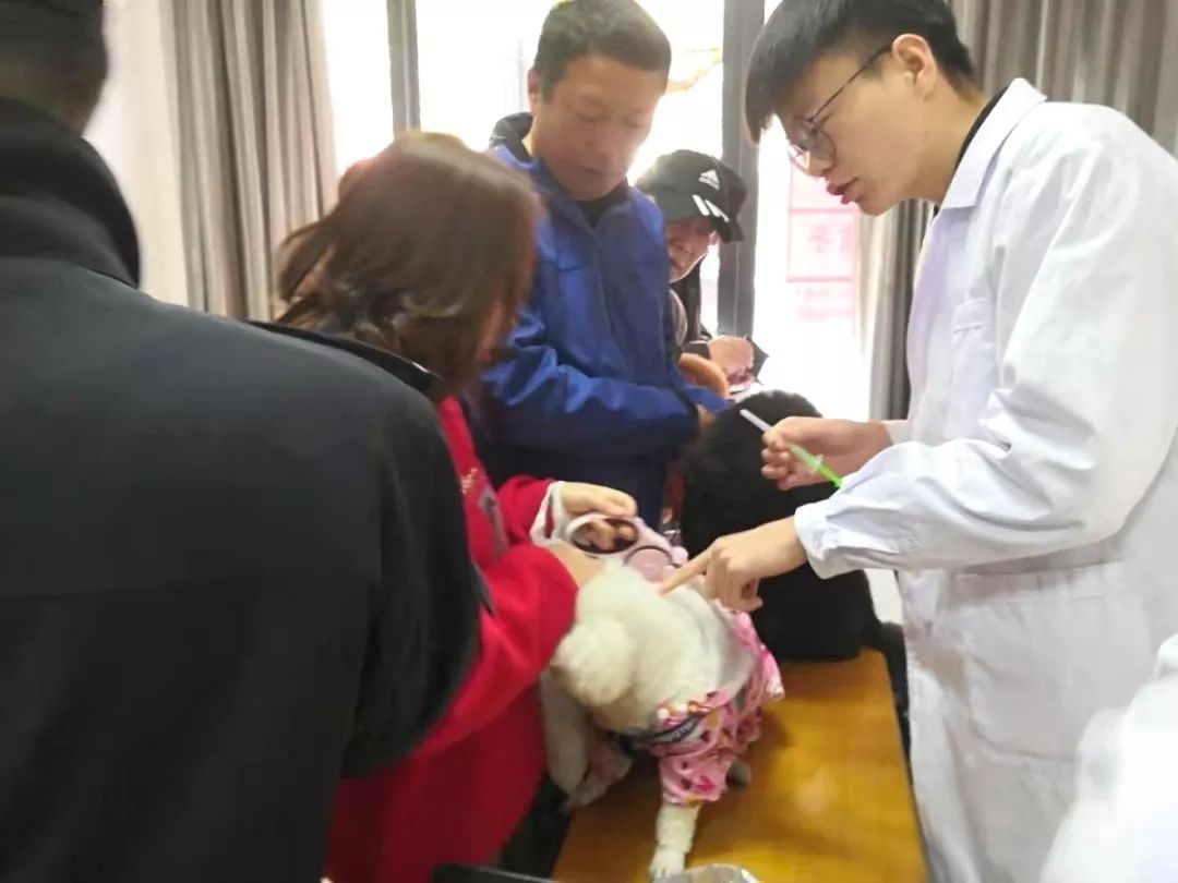 中河街道犬只狂犬疫苗免费注射开始啦!