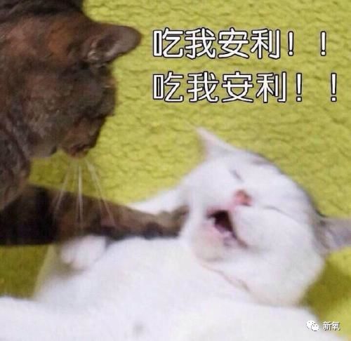 70e7f3f172054095a3ecc53b5fda08eb.jpeg
