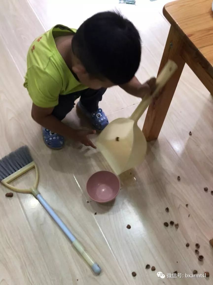 爱尔蒙特梭利为您解读细小事物和玩水玩沙敏感期