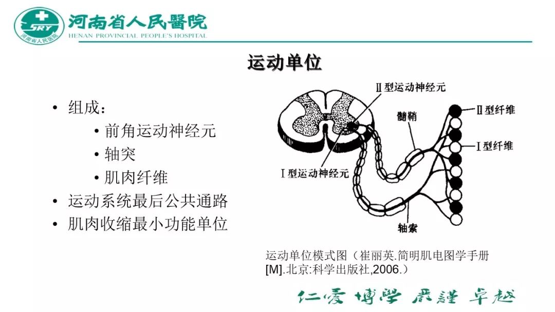 阳病治阴利用什么原理_阴疽是什么病(2)