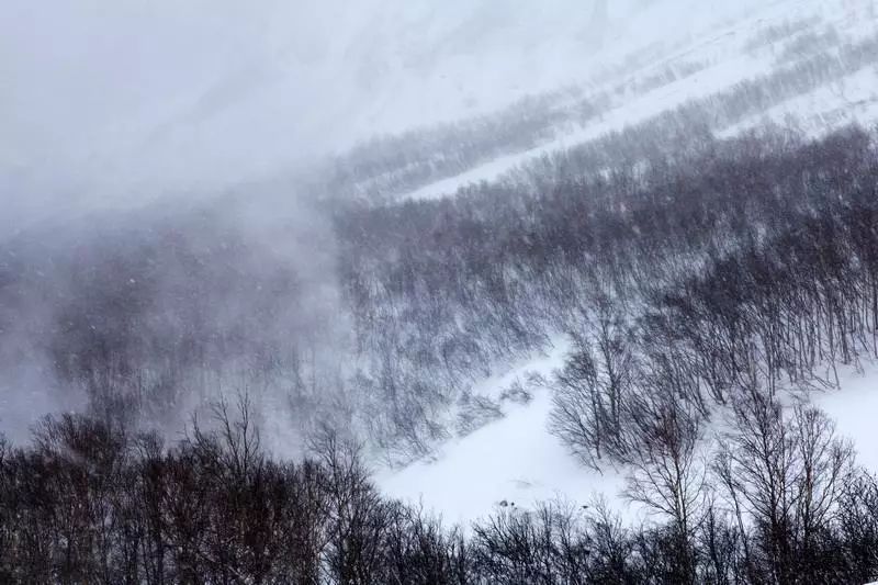 雪的24种别称，简直美醉了