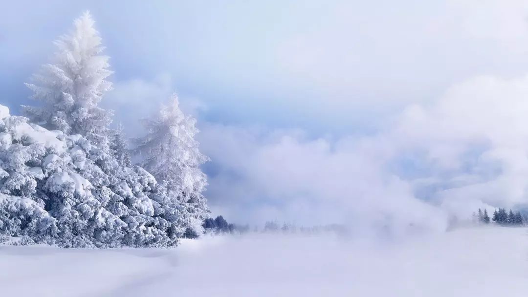 雪的24种别称，简直美醉了