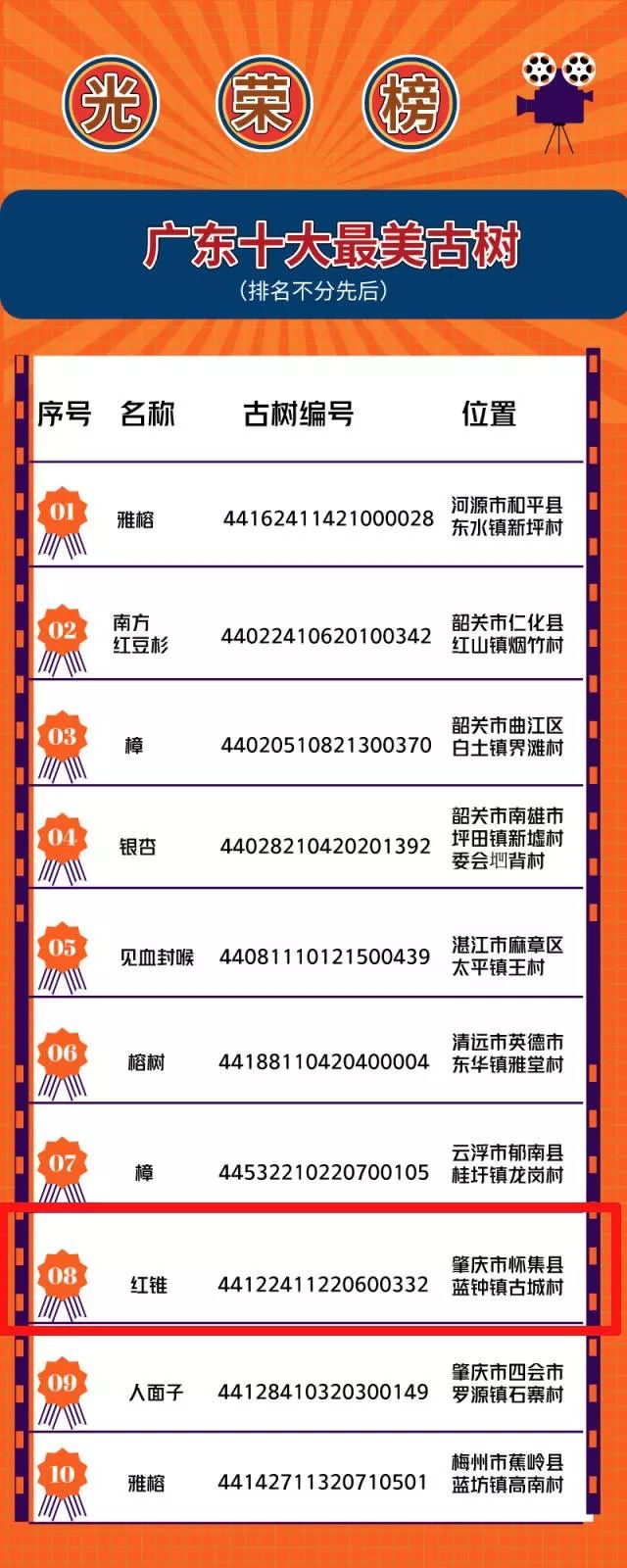 古树排行榜_中国十大千年古树排行榜_中国历史最悠久的树木排名-金投财经频道-...(2)