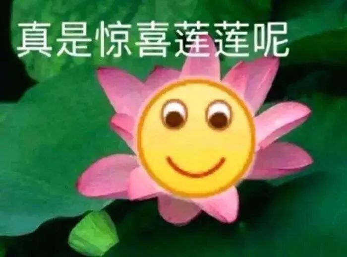 8bcc384302a7427a96a8eaa80e3dca3c.jpeg