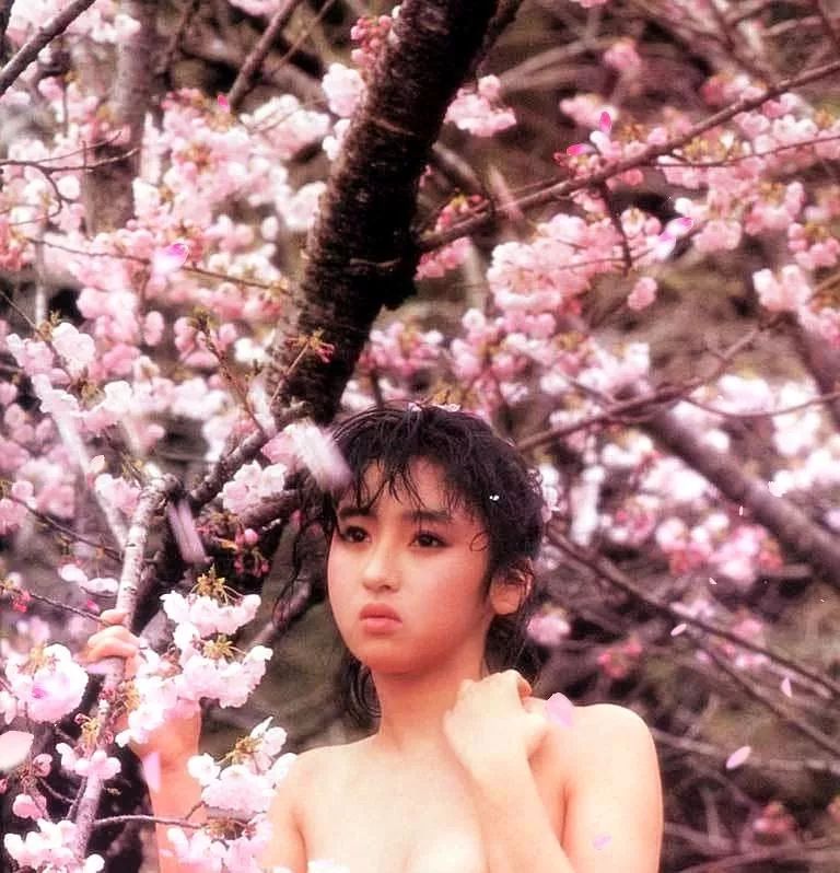 秋乃樱子