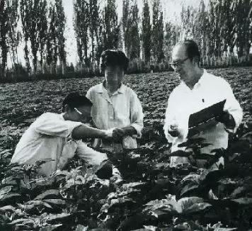 1950年4月,陈顺理来到了位于沙漠边缘的兵团一师,成为沙井子农业试验