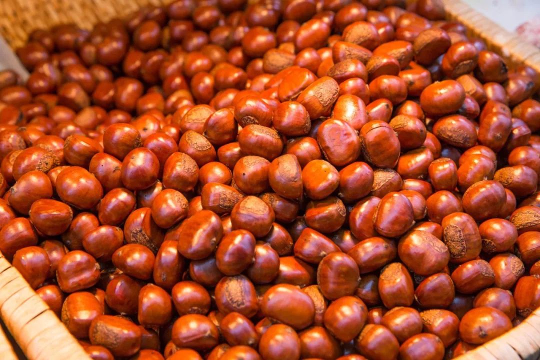 坚果哪家好 e6c49e95295e48efb821157fa709ddf3.jpeg