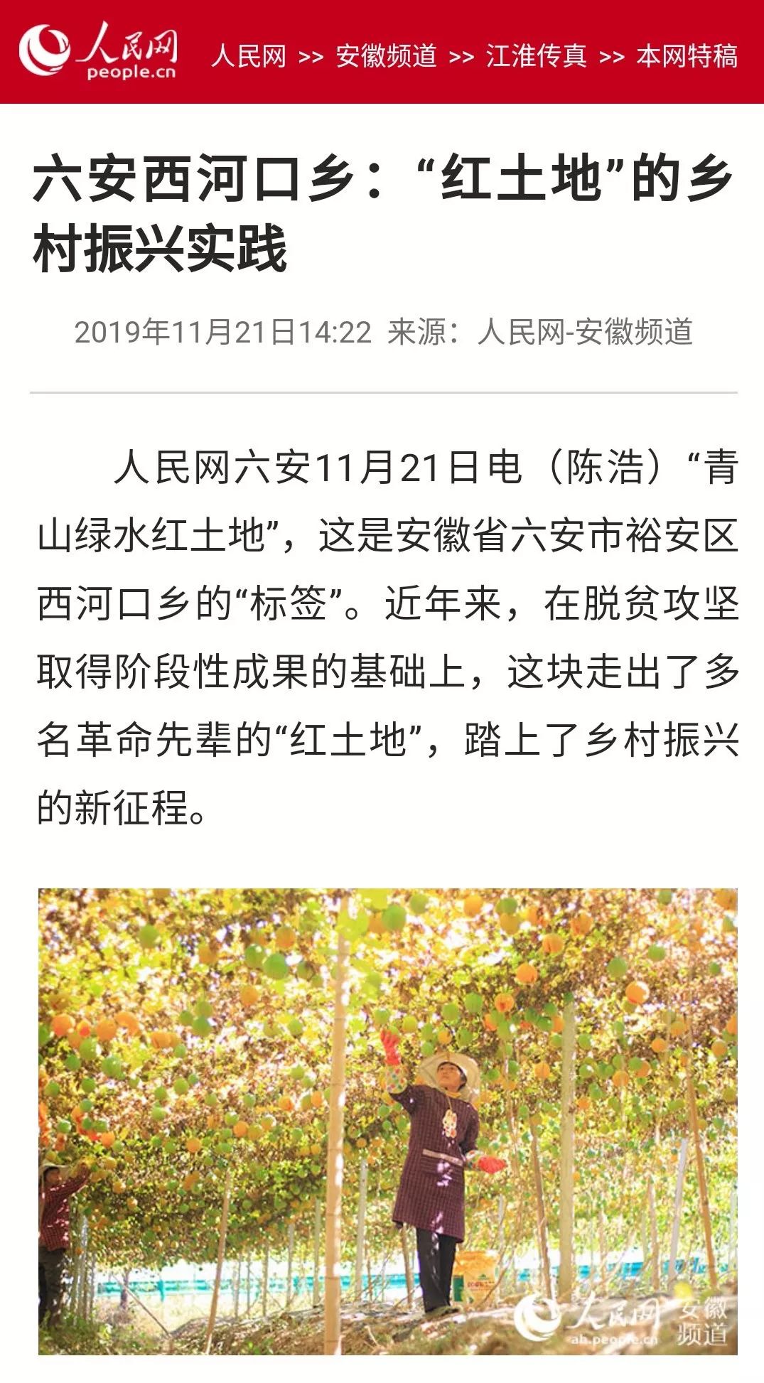 六安地区有多少人口_六安离合肥多少公里(2)