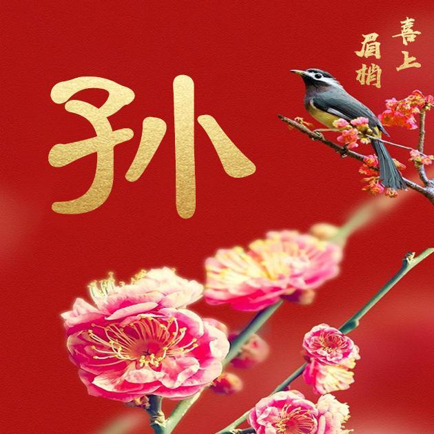 35张百家姓微信头像,喜上梅梢,无法抗拒的喜庆!