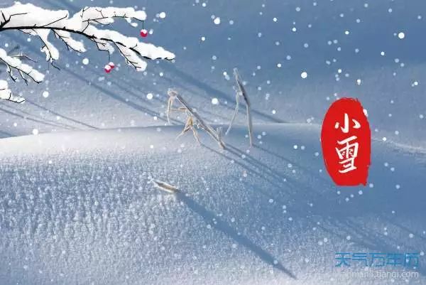 专题小雪晴沙不作泥疏帘红日弄朝晖