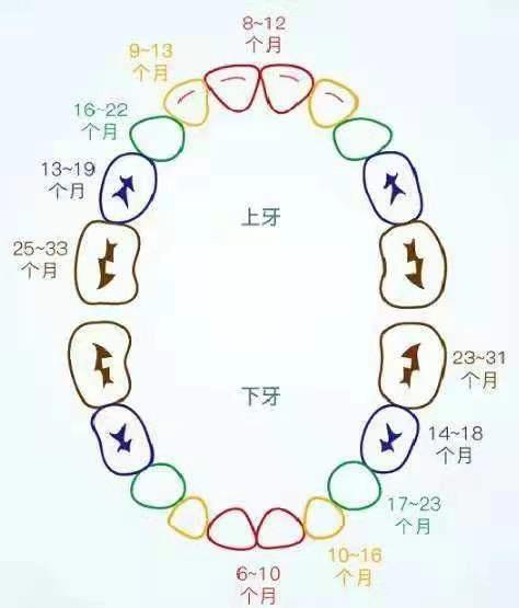 小皮育儿经@宝宝出牙这么辛苦，4点舒缓方法家长要注意，助宝宝顺利出牙