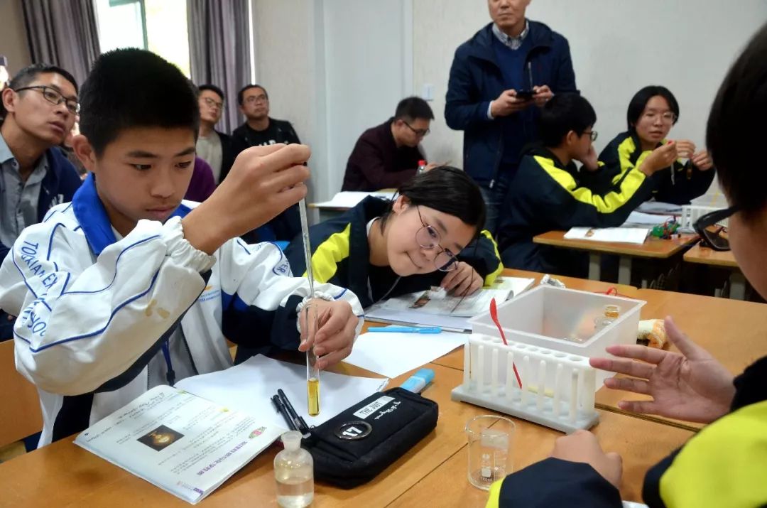 校园动态相互学习共同提高湖州市第五中学来桐乡市现代实验学校交流