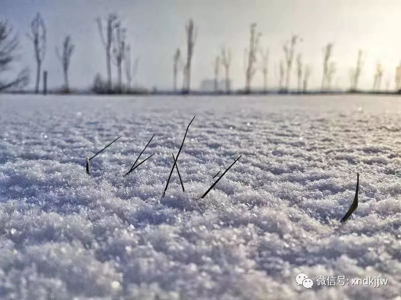小雪   当第一片雪花落在手心里的时候,我也希望你能快点来到我身边