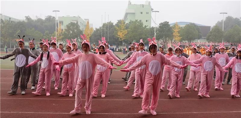 模仿十二生肖的舞蹈 28eeb3272c45450791b8c564d281d4c3.jpeg