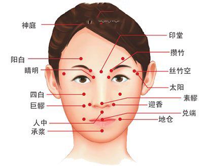 灸会人口_艾灸百会图片(3)