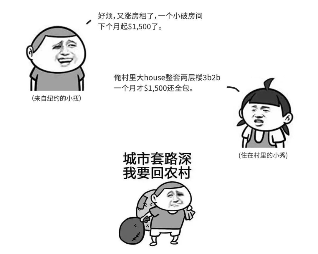 4d858c100fc84c48bb77b1b3da21f36b.jpeg
