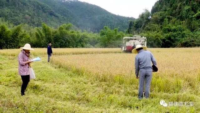 湆头村人口_迳头镇各村人口(2)