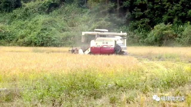 湆头村人口_迳头镇各村人口(2)