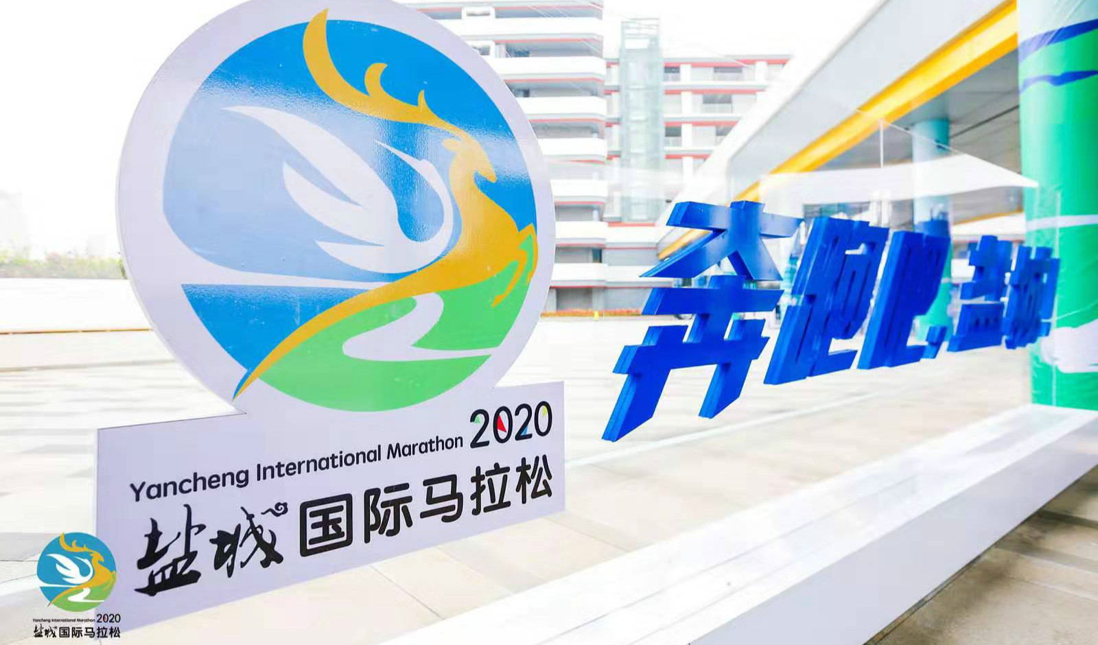 2020年江苏盐城大丰g_江苏盐城大丰荷兰花海