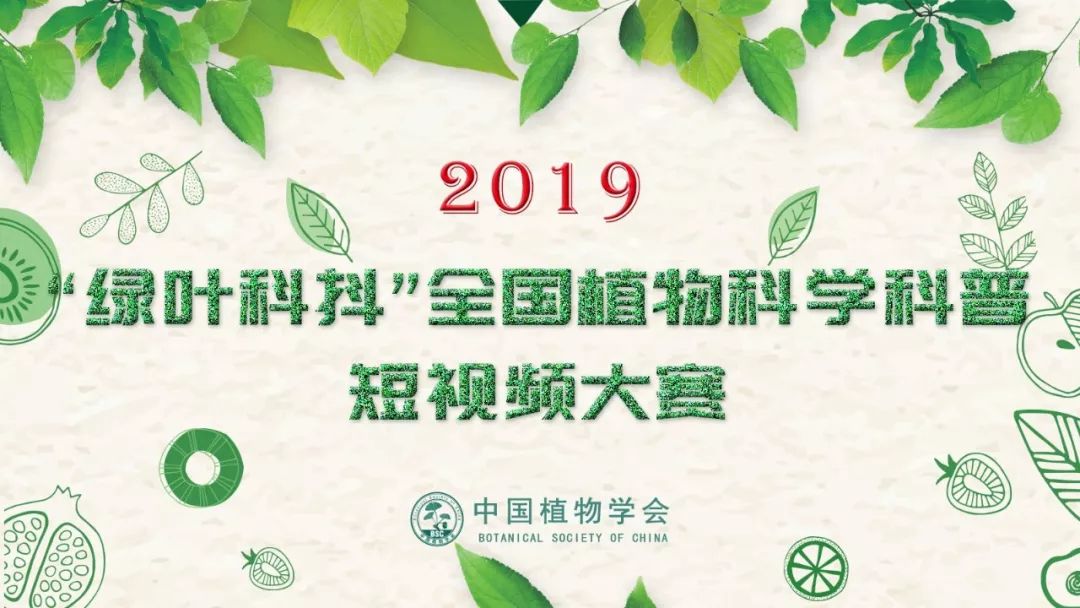 植物学排名_植物学分类法(3)