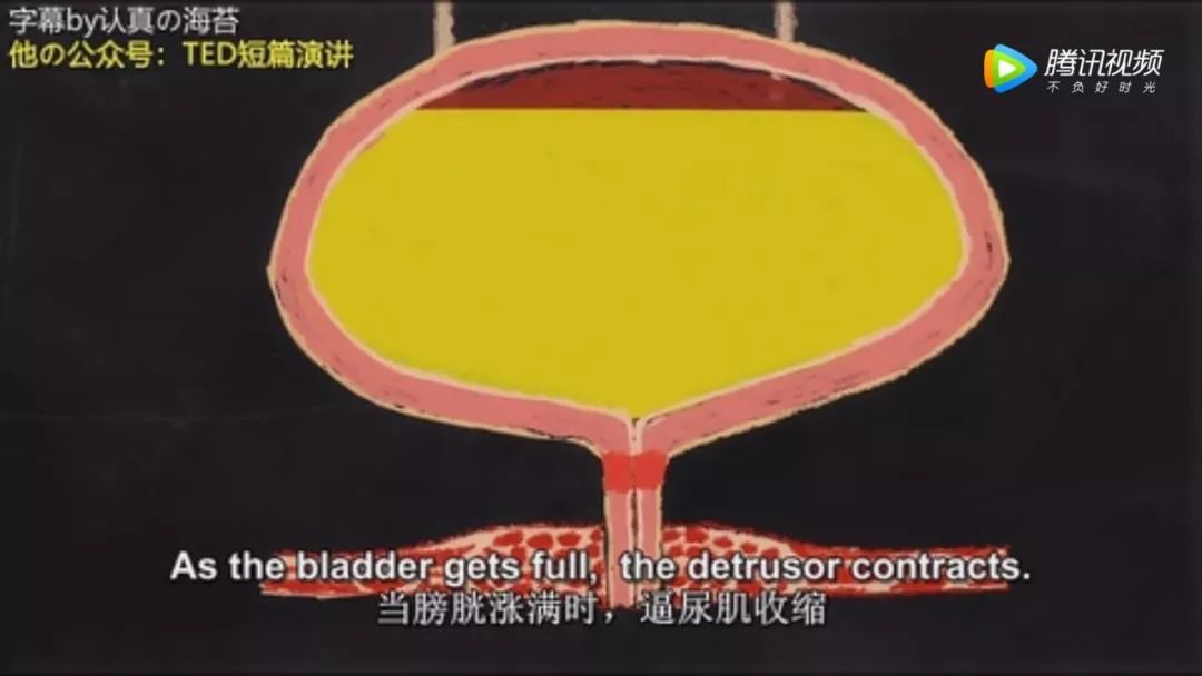 那个憋尿到极限的膀胱幸好遇见了好医生不然
