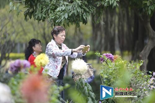 摘花,踩花等不文明现象难觅踪迹