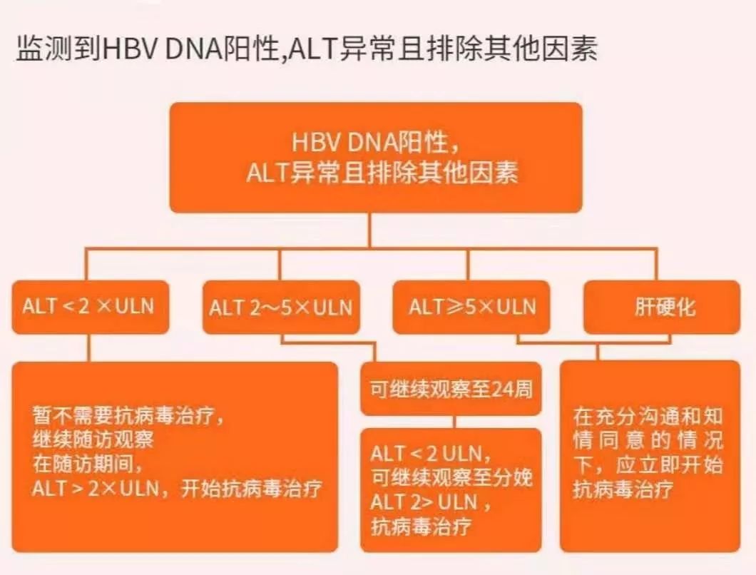 医生解读:患有乙肝的女性可以怀孕吗? 如何生