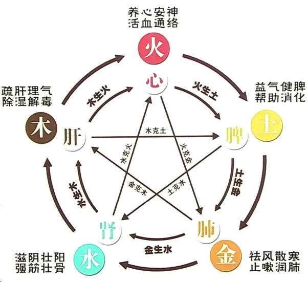 主主水——肾气主司和调节全身水液代谢 主纳气——呼吸的深入 在体合