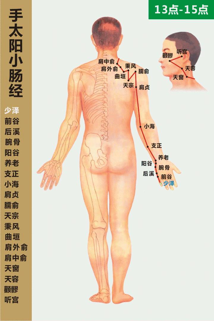 最全经络高清动图,再也不怕找不到穴位了!