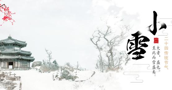 什么雪什么皑成语_雪菜是什么菜图片(2)