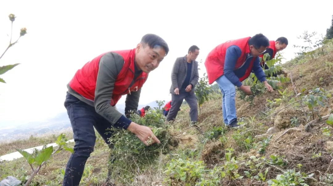 黔南州有多少人口_黔南州地图(3)