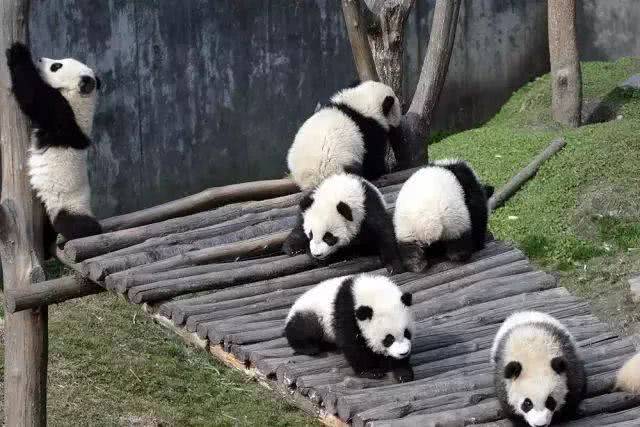 f0f52706f0b04f6aad8ec216033d089d.jpeg