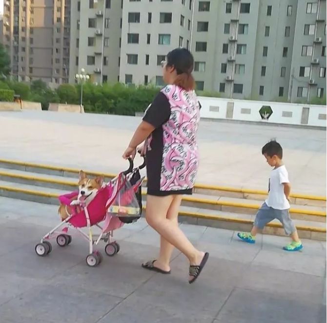 离婚后热辣少妇带着孩子到ktv庆祝又蹦又跳发酒疯厦门网友干的漂亮
