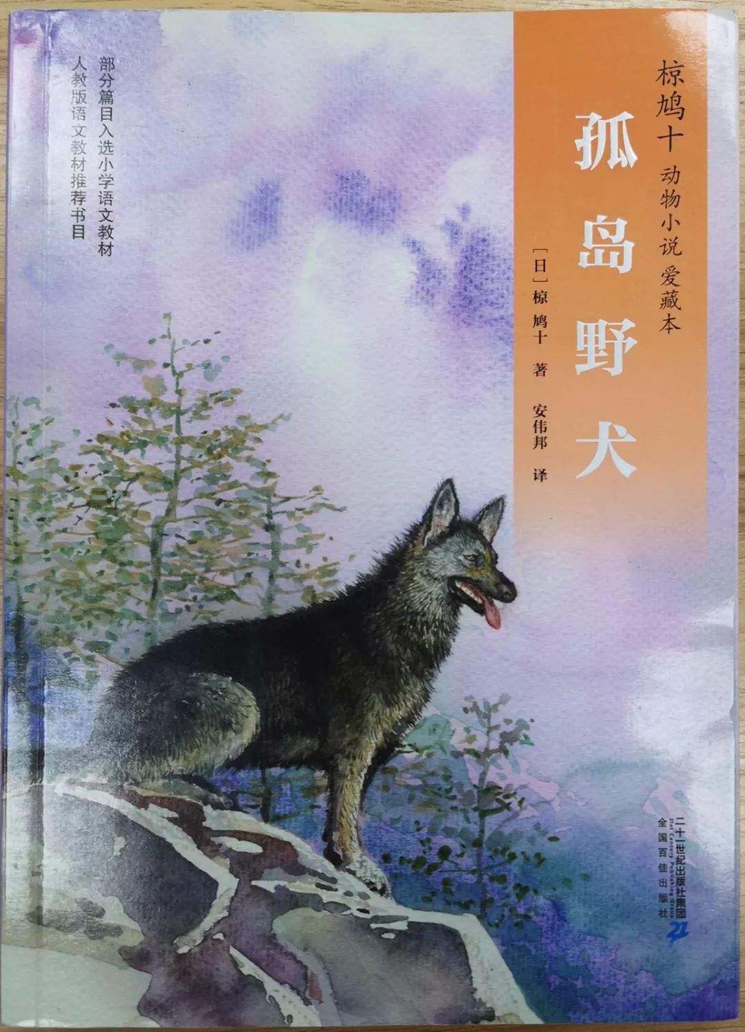 好书推荐《孤岛野犬》
