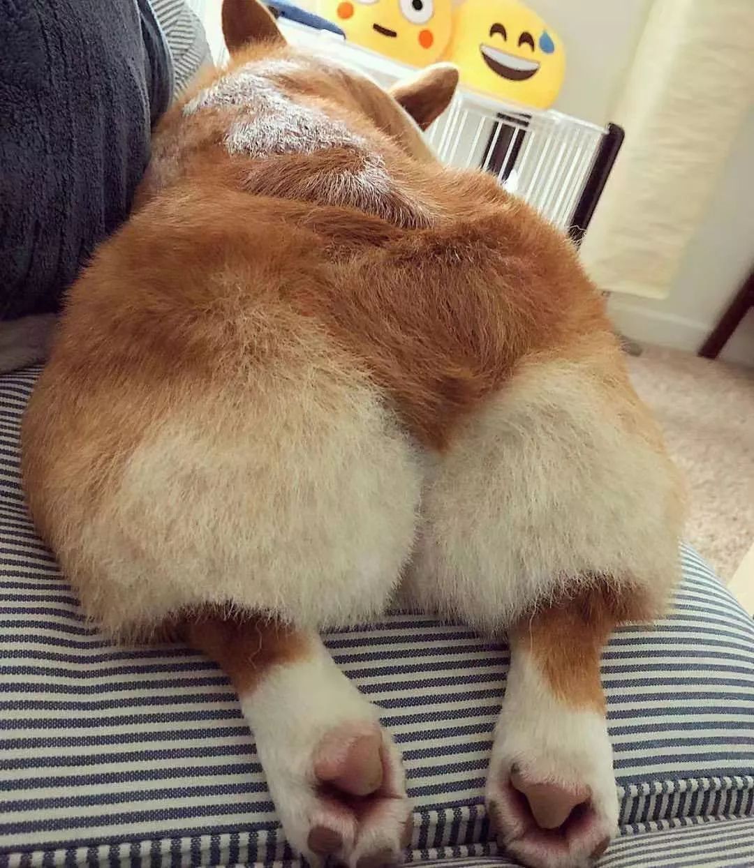 感觉太南了快来吸一口萌萌的美臀叭
