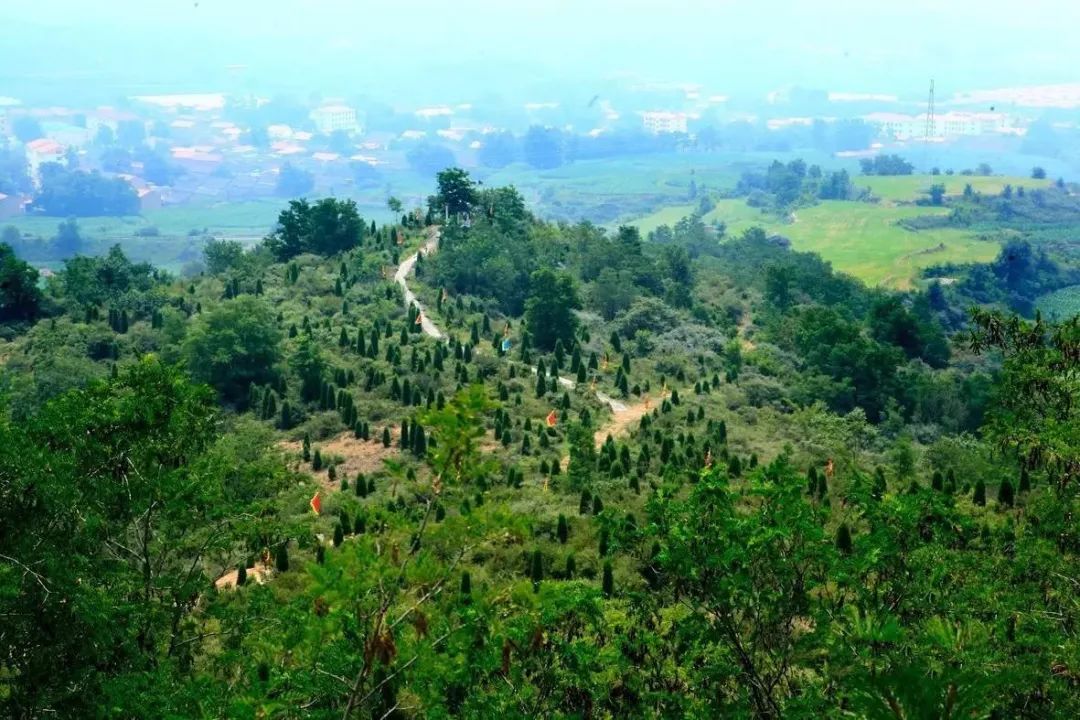 长子县有多少人口_长子县地图(3)