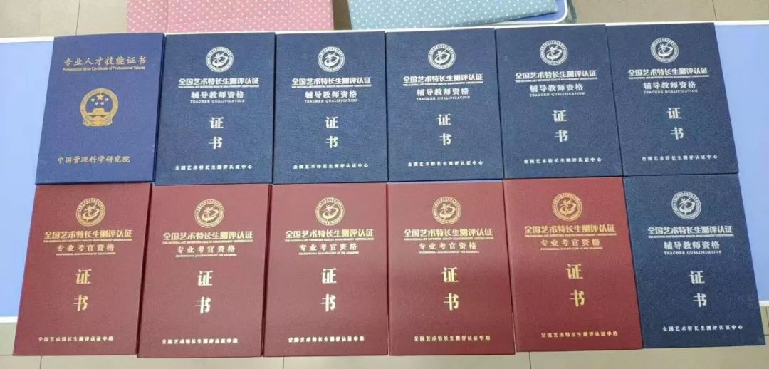 《全国艺术特长生高级考官——高级辅导教师资格证)认证报名开启!