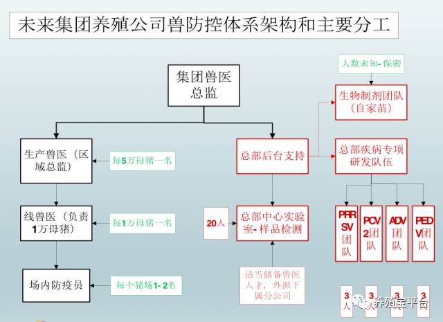 附集团公司兽医防疫组织架构图