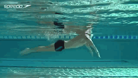4878c59ff9fa445099a84779ba93ed63.gif