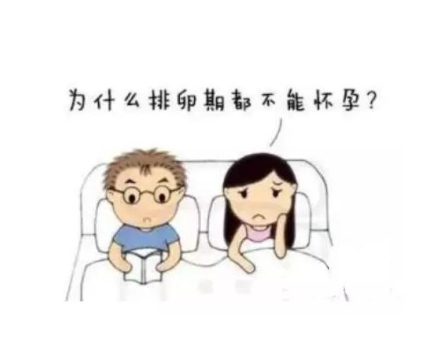 6c2a717bd78f483cb1ea134a86503d1f.jpeg